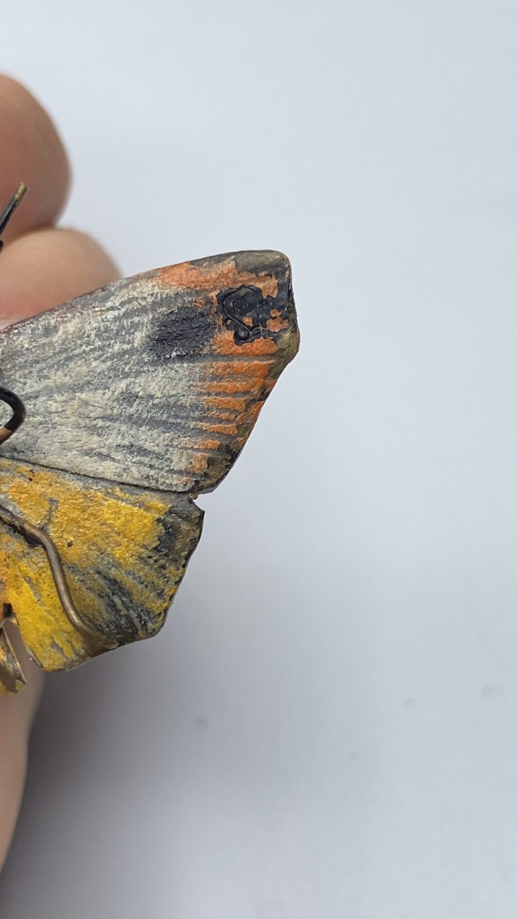 FARFALLA IN BRONZO, FONDERIA ‘’BERGMANN’’ XIXsec. - immagine 4