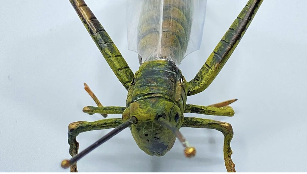 CAVALLETTA IN BRONZO DELLA FONDERIA ‘BERGMANN’ XIX sec. BRONZE GRASSHOPPER FROM THE 'BERGMAN' FOUNDRY 19th century. - immagine 3