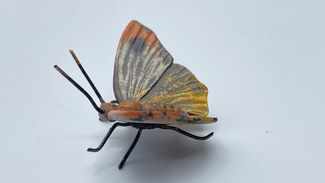 FARFALLA IN BRONZO, FONDERIA ‘’BERGMANN’’ XIXsec. - immagine 3