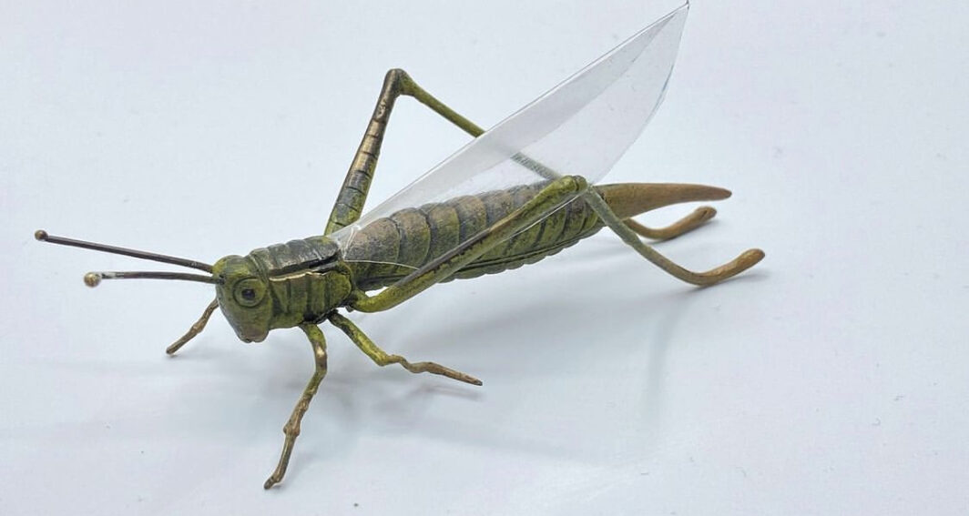 CAVALLETTA IN BRONZO DELLA FONDERIA ‘BERGMANN’ XIX sec. BRONZE GRASSHOPPER FROM THE 'BERGMAN' FOUNDRY 19th century. - immagine 7