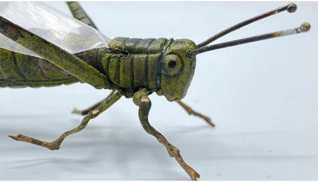 CAVALLETTA IN BRONZO DELLA FONDERIA ‘BERGMANN’ XIX sec. BRONZE GRASSHOPPER FROM THE 'BERGMAN' FOUNDRY 19th century. - immagine 2