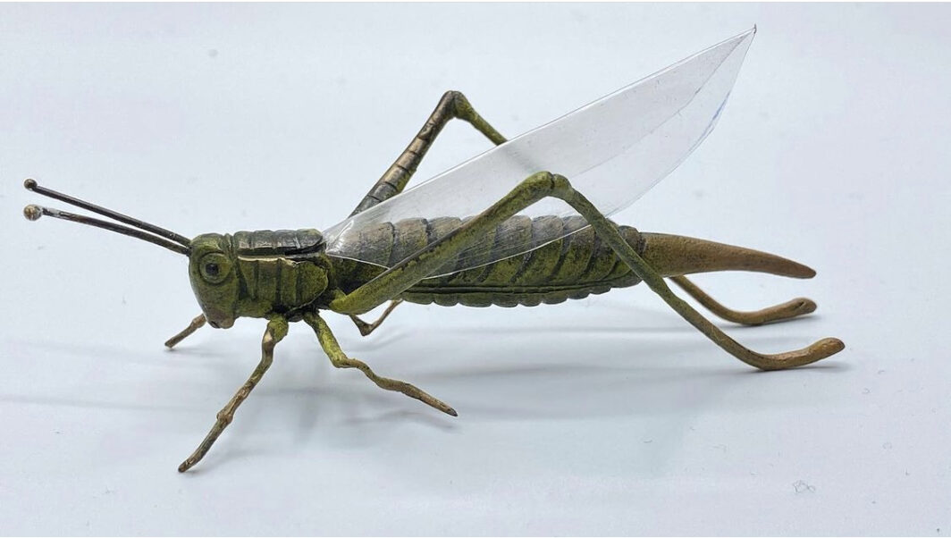 CAVALLETTA IN BRONZO DELLA FONDERIA ‘BERGMANN’ XIX sec. BRONZE GRASSHOPPER FROM THE 'BERGMAN' FOUNDRY 19th century. - immagine 4