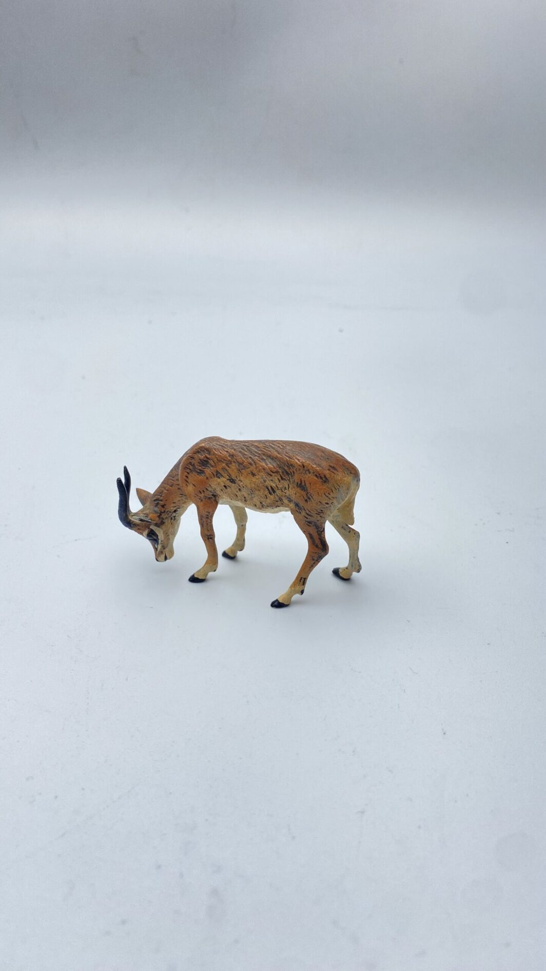 PICCOLA ANTILOPE IN BRONZO DI VIENNA. XIX sec. - immagine 3