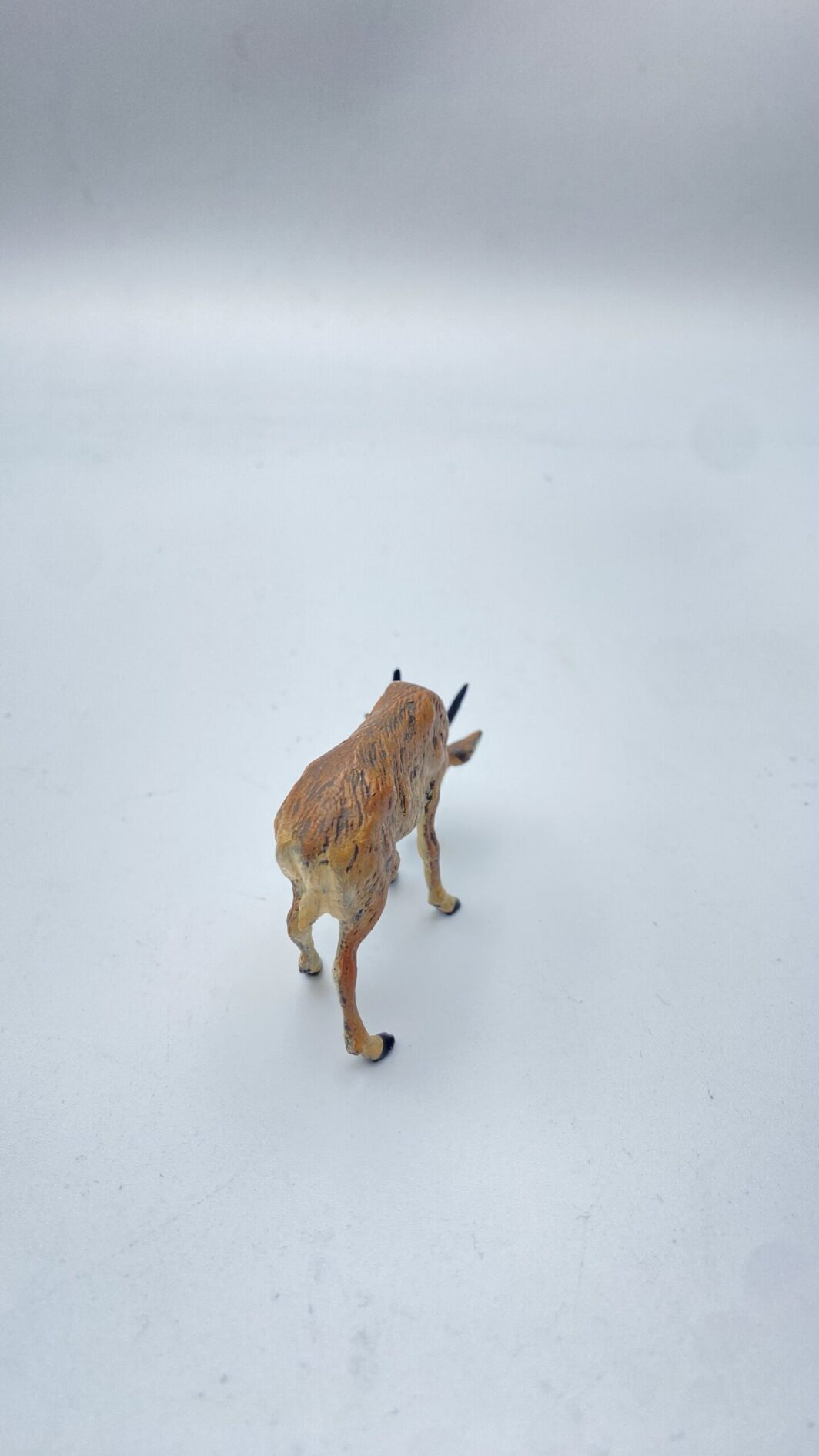 PICCOLA ANTILOPE IN BRONZO DI VIENNA. XIX sec. - immagine 4