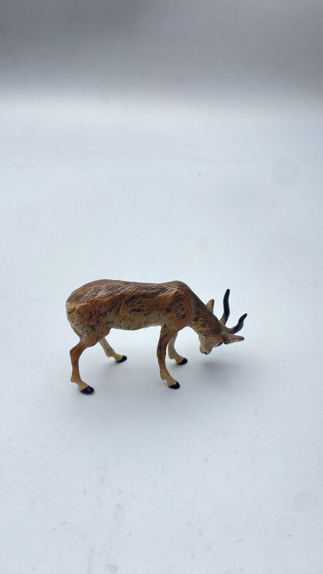 PICCOLA ANTILOPE IN BRONZO DI VIENNA. XIX sec. - immagine 5