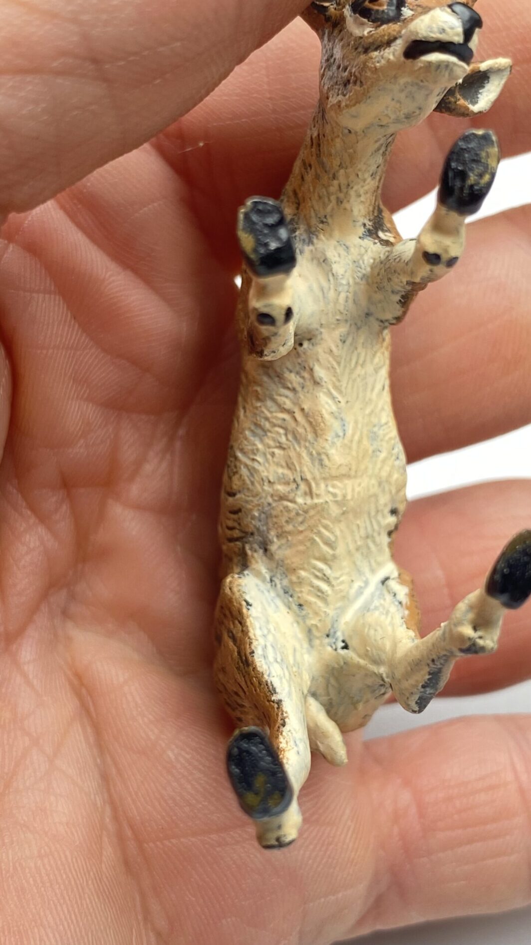 PICCOLA ANTILOPE IN BRONZO DI VIENNA. XIX sec. - immagine 7