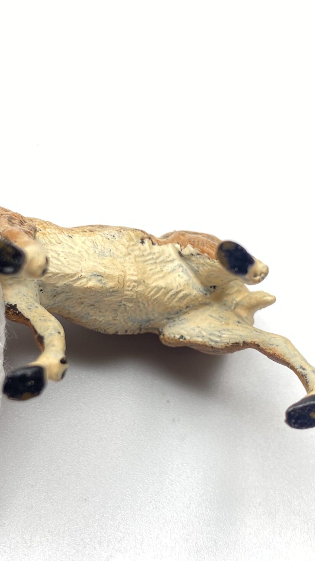 PICCOLA ANTILOPE IN BRONZO DI VIENNA. XIX sec. - immagine 8