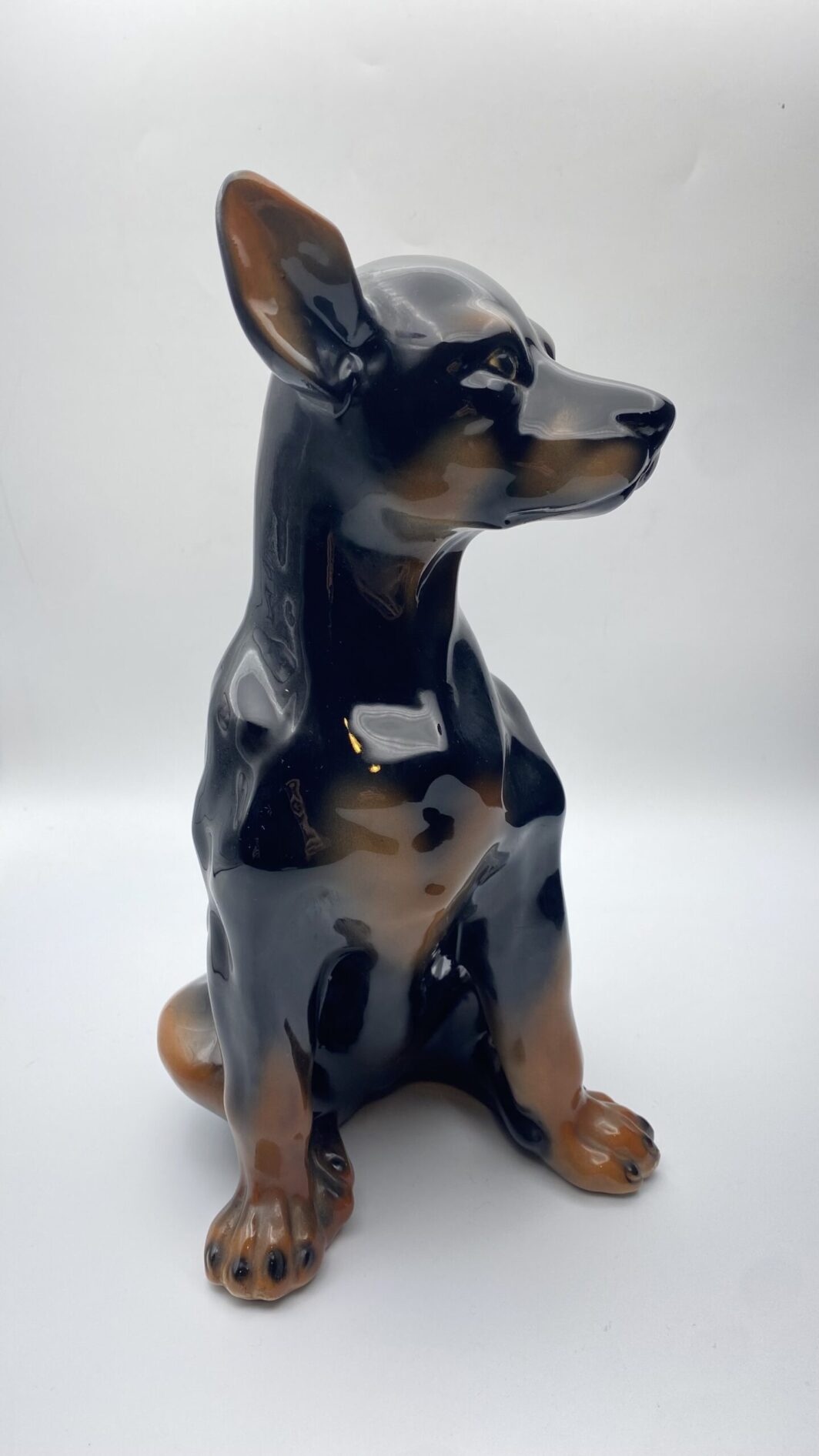 CANE PINCHER A GRANDEZZA NATURALE, IN PORCELLANA STAFFORDSHIRE. ANNI ‘50/‘70 - immagine 21