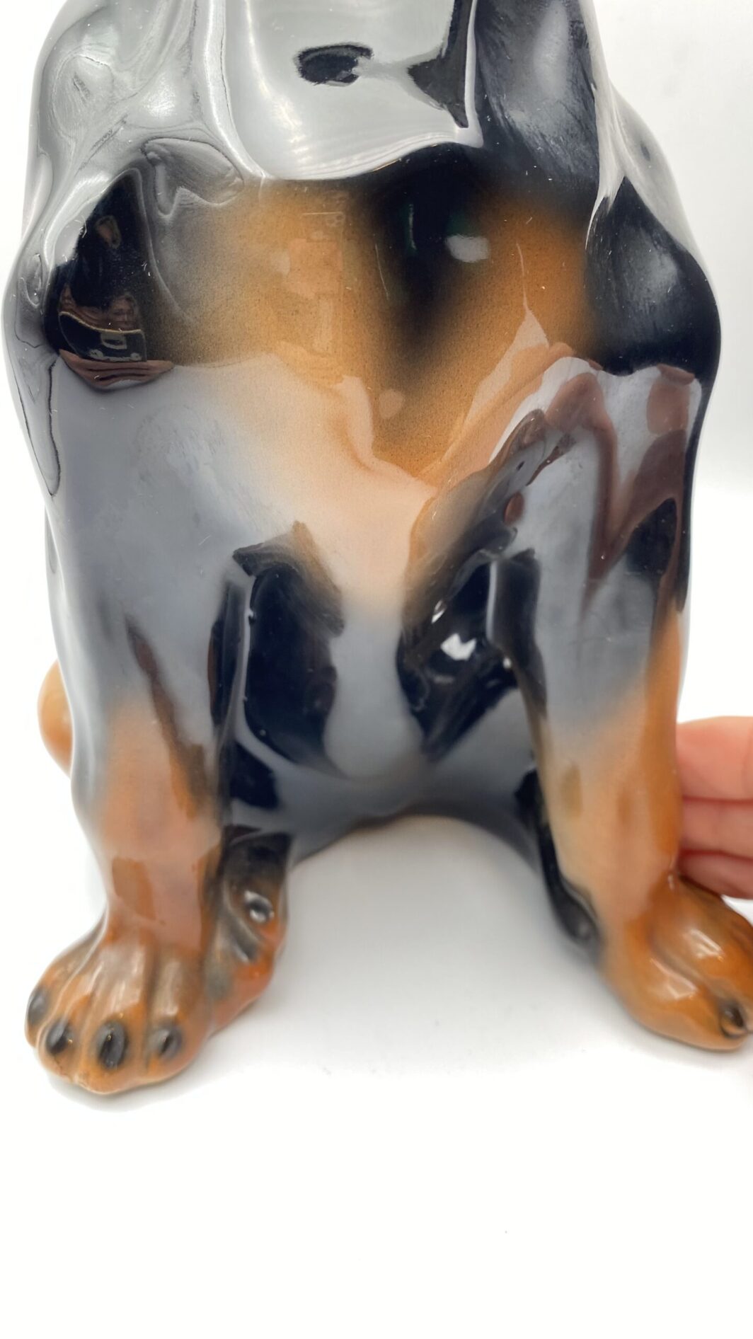 CANE PINCHER A GRANDEZZA NATURALE, IN PORCELLANA STAFFORDSHIRE. ANNI ‘50/‘70 - immagine 17
