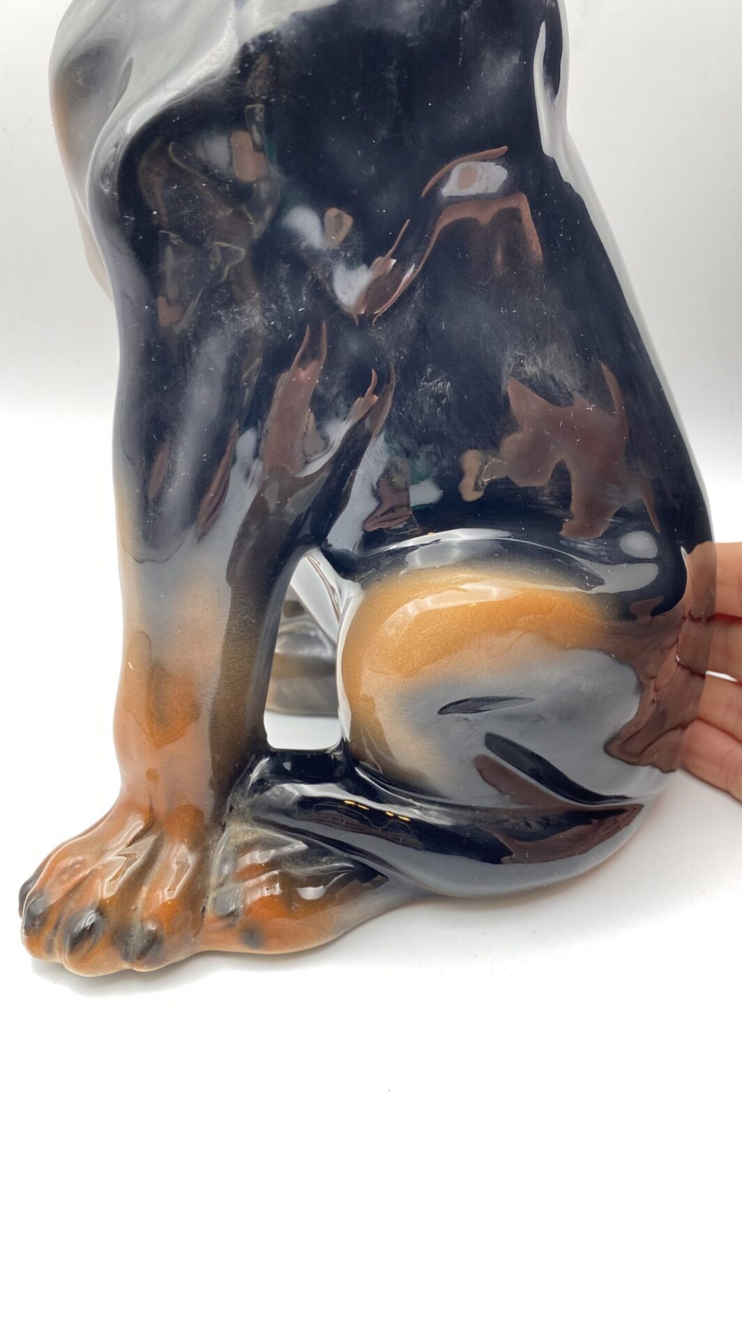 CANE PINCHER A GRANDEZZA NATURALE, IN PORCELLANA STAFFORDSHIRE. ANNI ‘50/‘70 - immagine 16