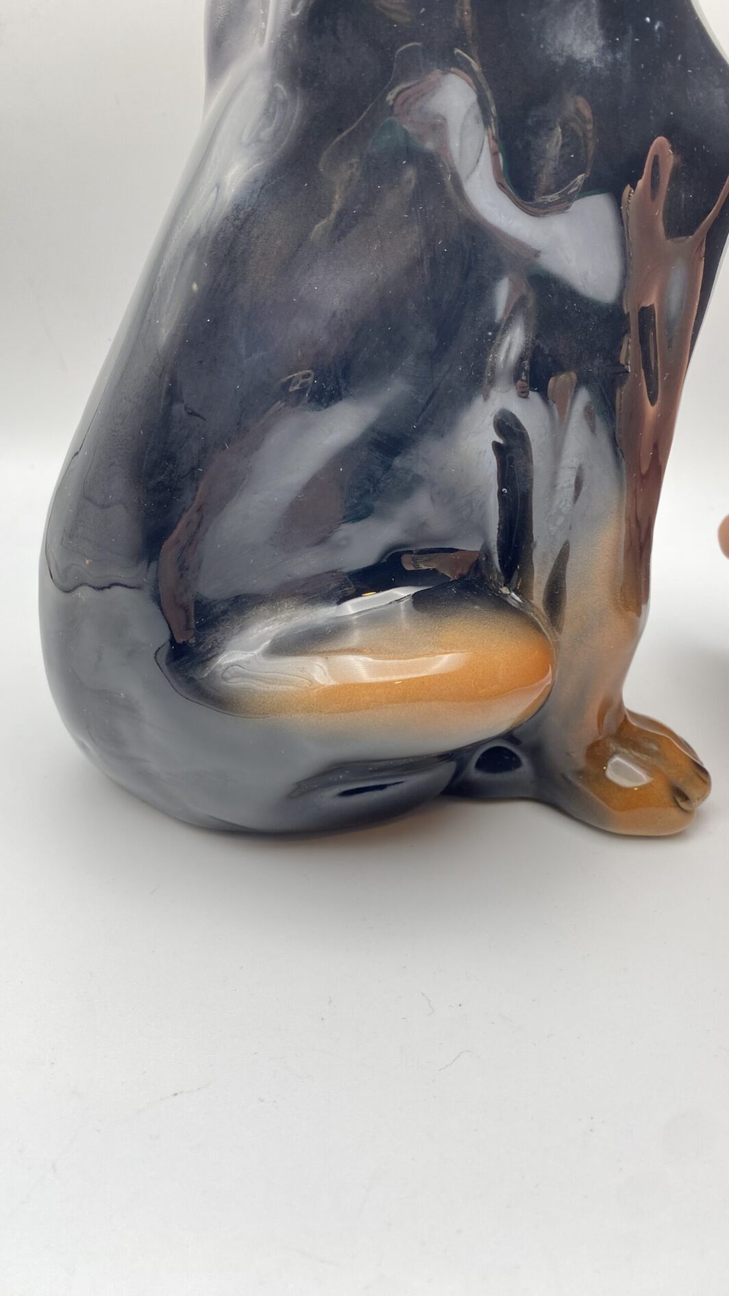 CANE PINCHER A GRANDEZZA NATURALE, IN PORCELLANA STAFFORDSHIRE. ANNI ‘50/‘70 - immagine 14