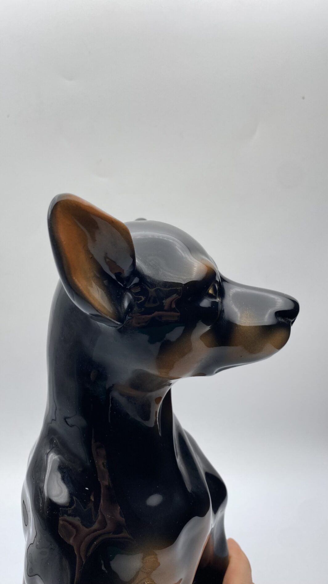 CANE PINCHER A GRANDEZZA NATURALE, IN PORCELLANA STAFFORDSHIRE. ANNI ‘50/‘70 - immagine 12