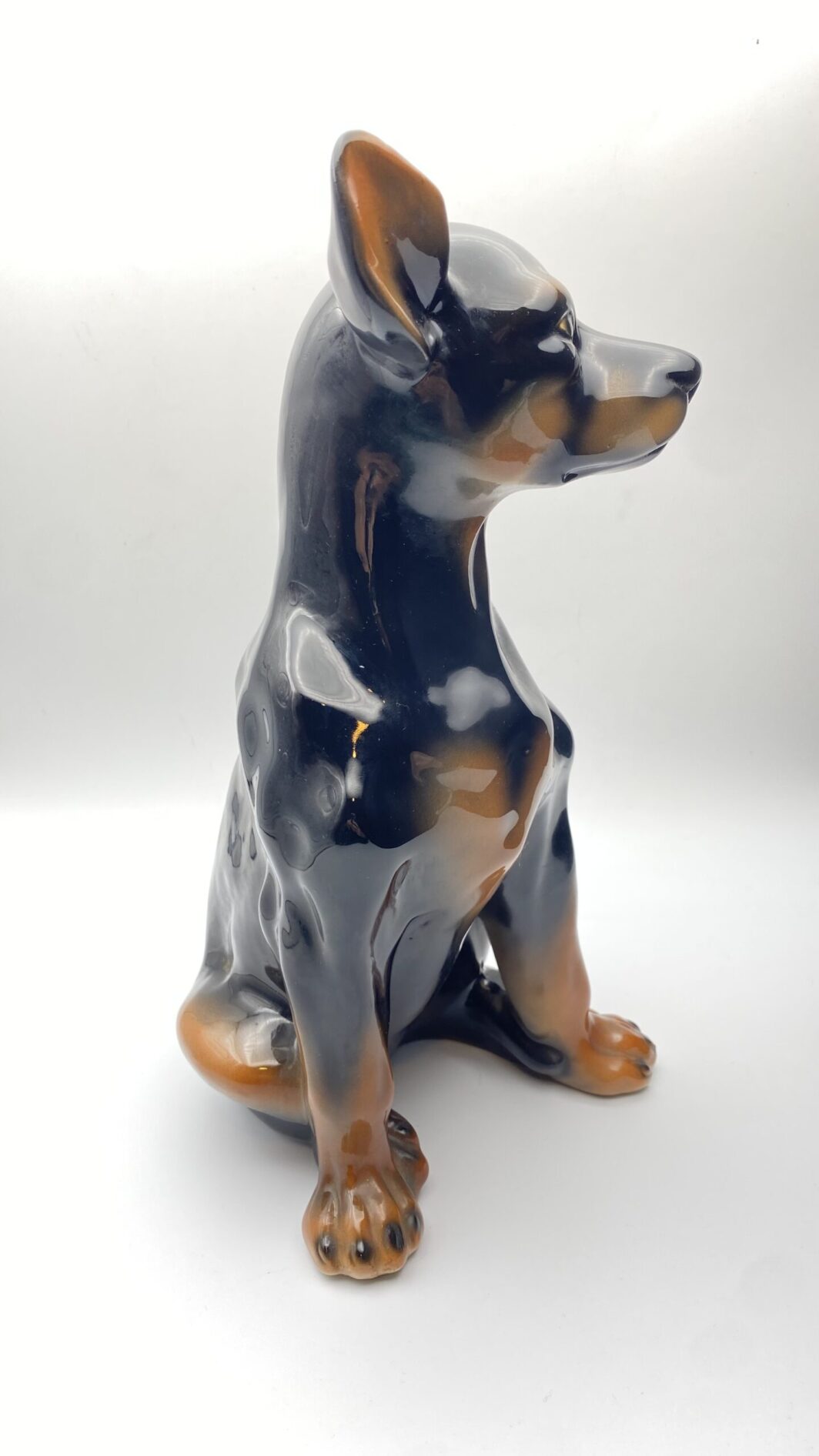 CANE PINCHER A GRANDEZZA NATURALE, IN PORCELLANA STAFFORDSHIRE. ANNI ‘50/‘70 - immagine 4