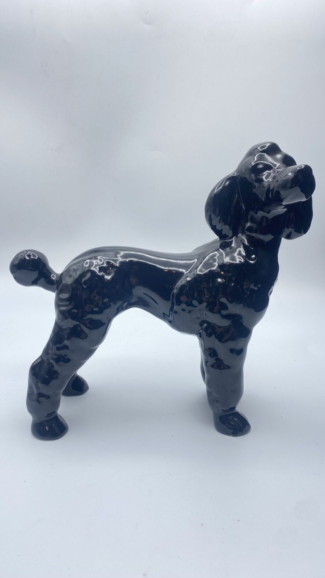 CANE BARBONE GIGANTE IN PORCELLANA VINTAGE ANNI ‘30.
