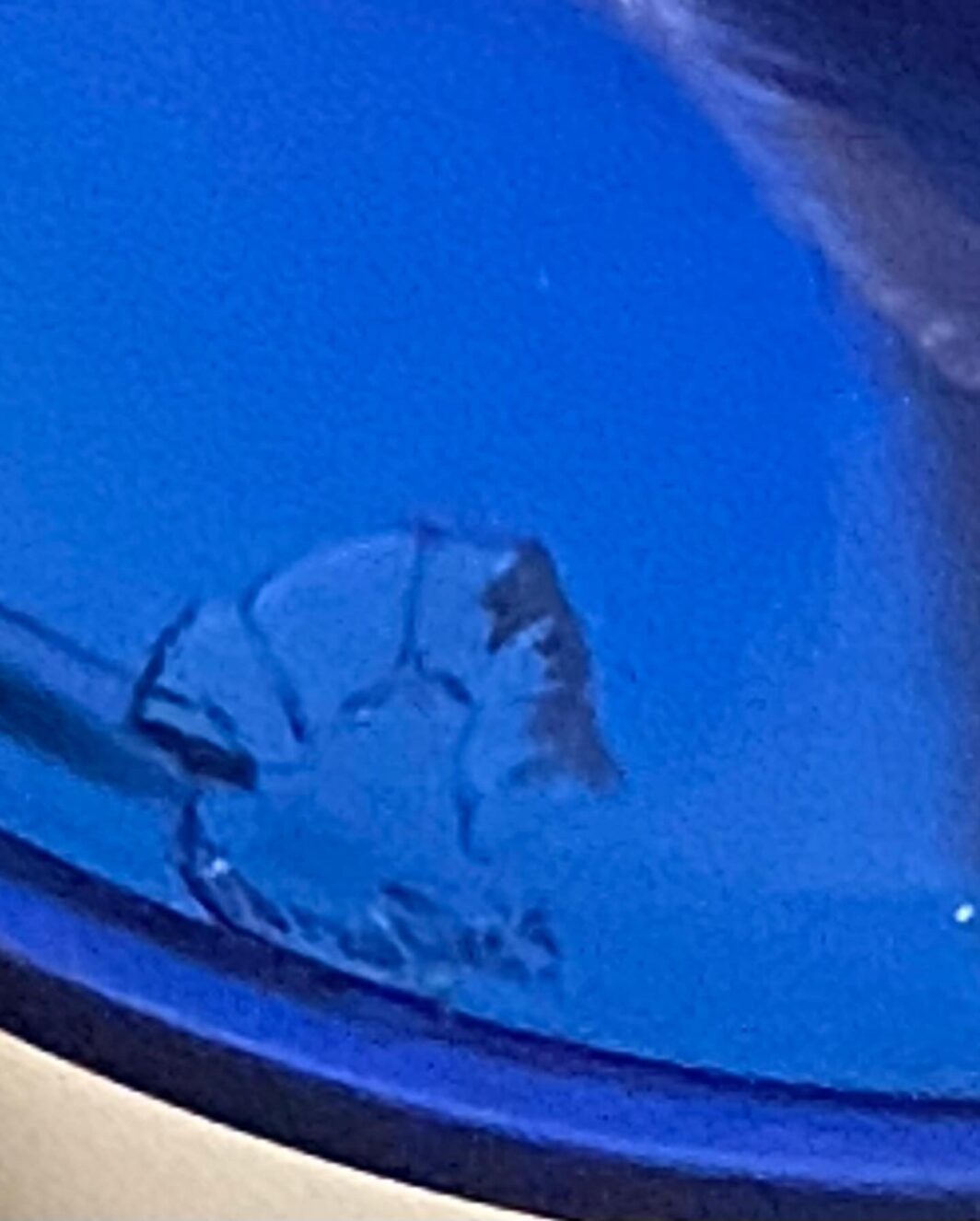 ERCOLE BAROVIER. VASO BLU COBALTO. MURANO ANNI ‘50. - immagine 10