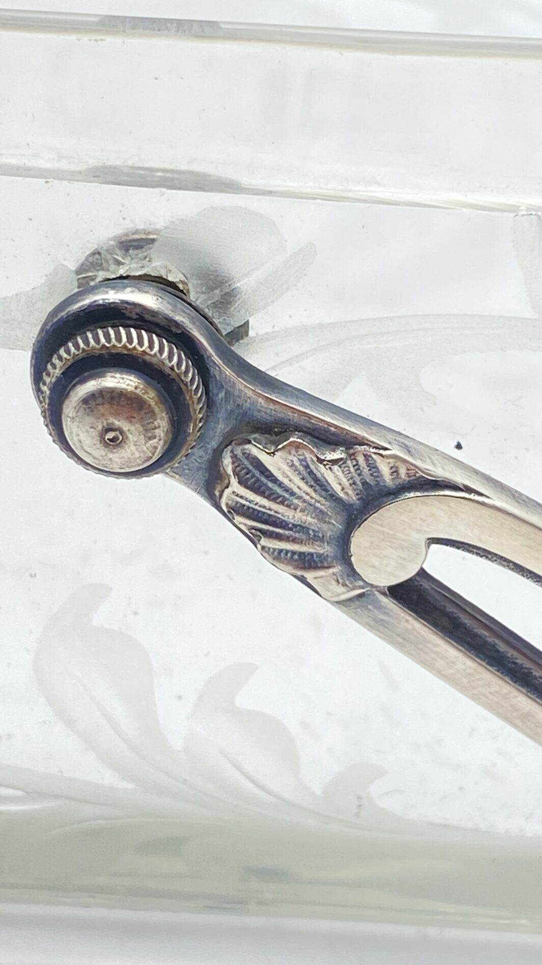 GALLIA. COMPOSTIERA ART NOUVEAU. FINE XIX sec. - immagine 6