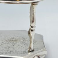BERNDORF METALWARE FACTORY ARTHUR KRUPP. CRISTALLO DI BOEMIA E SHEFFIELD. CRUET FINE XIX sec. - immagine 23