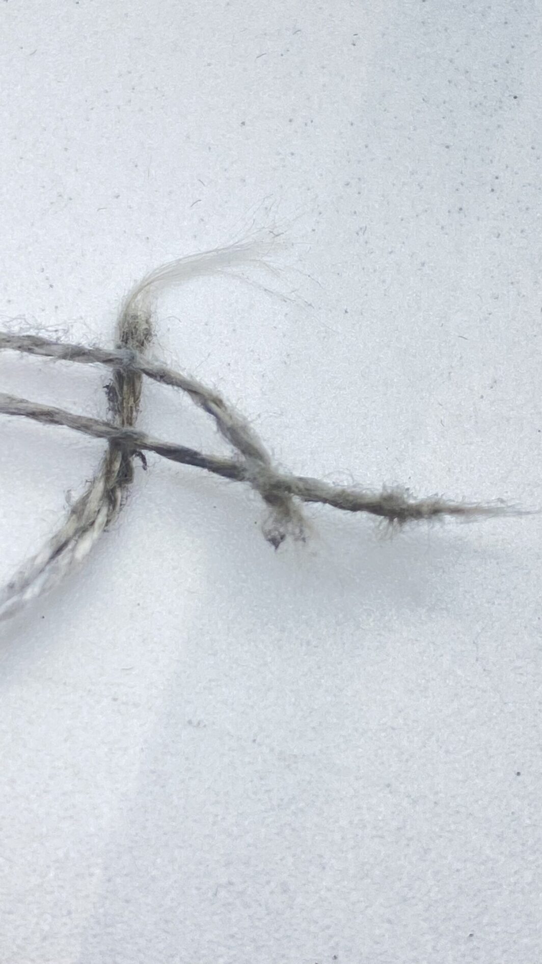 ARGENTO. SCATOLA PORTAMATASSA E COPERCHIO CON FOGLIE PER TAGLIARE IL FILO. PUNZONI CINESI, FINE XIX sec. - immagine 13