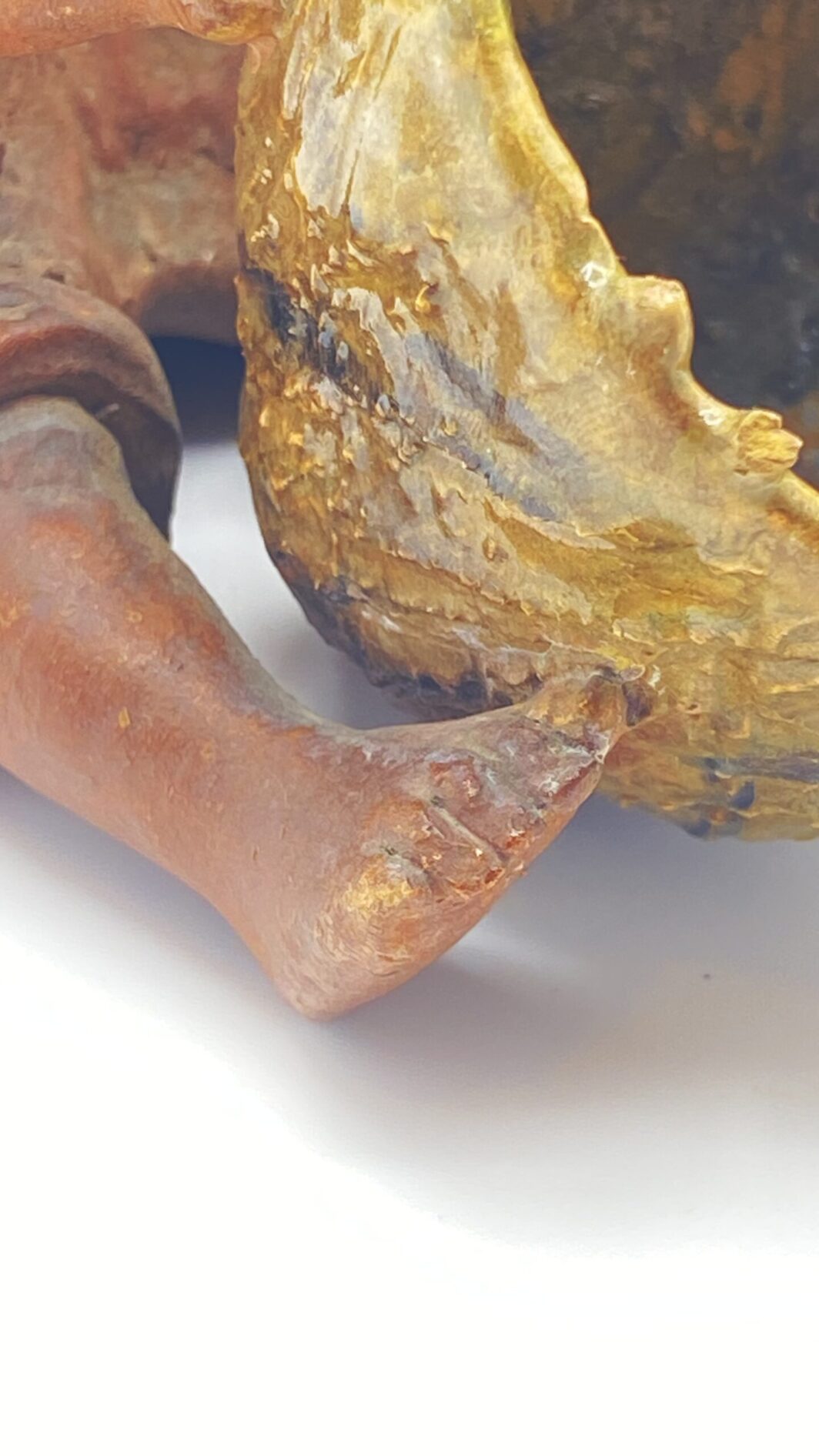 TERRACOTTA. BAMBINO PESCATORE CON CESTO. ITALIA FINE XIX sec. - immagine 9