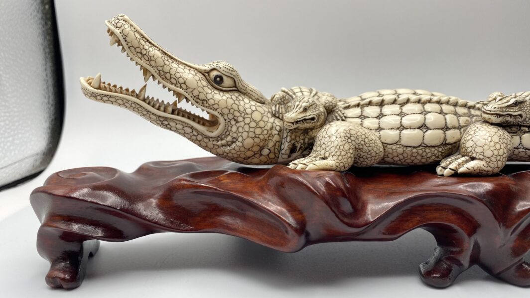 COCCODRILLO IN AVORIO, CON FIRMA DELLO SCULTORE SUL VENTRE. GIAPPONE, INIZI XX sec. - immagine 4