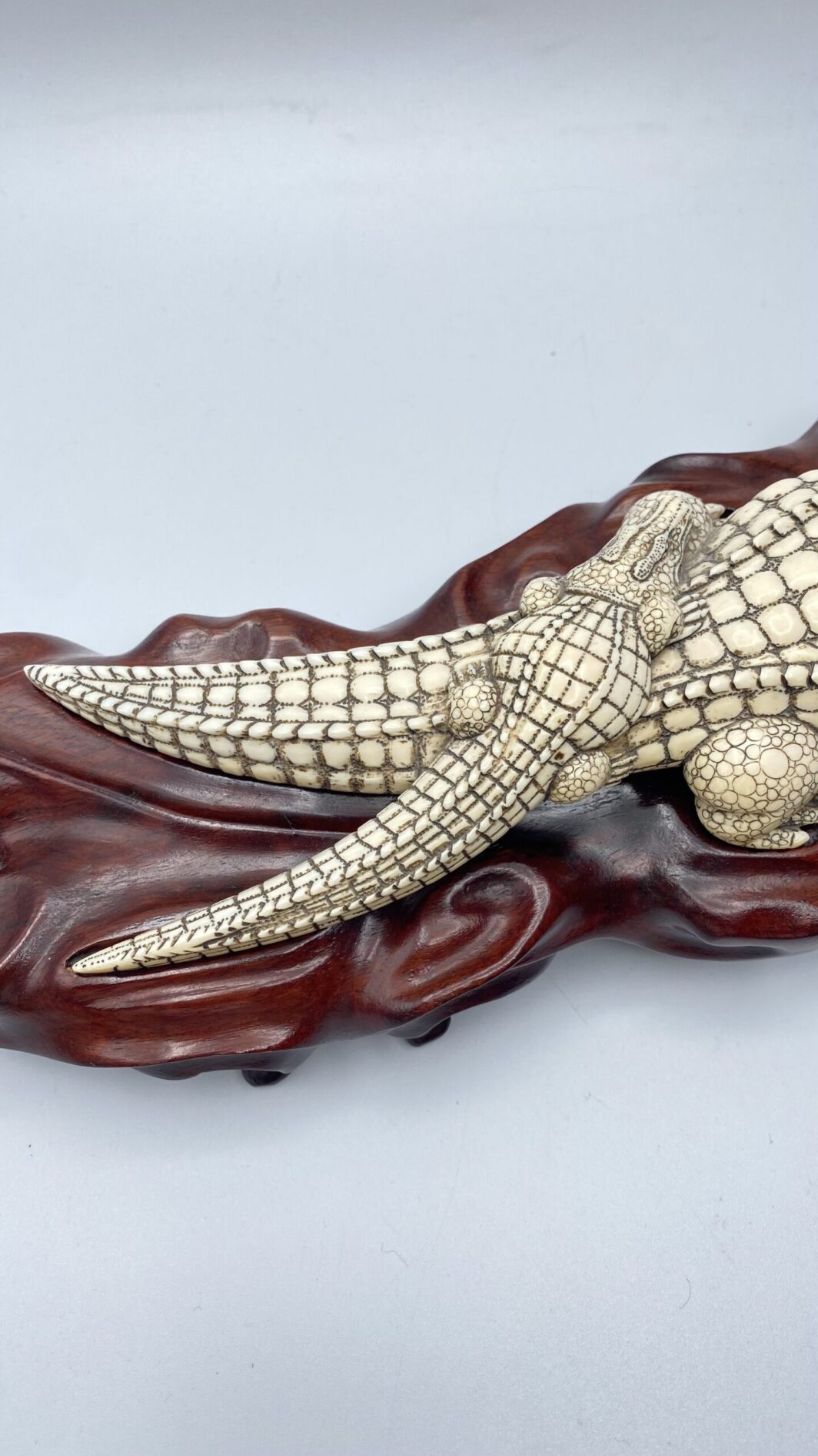COCCODRILLO IN AVORIO, CON FIRMA DELLO SCULTORE SUL VENTRE. GIAPPONE, INIZI XX sec. - immagine 9