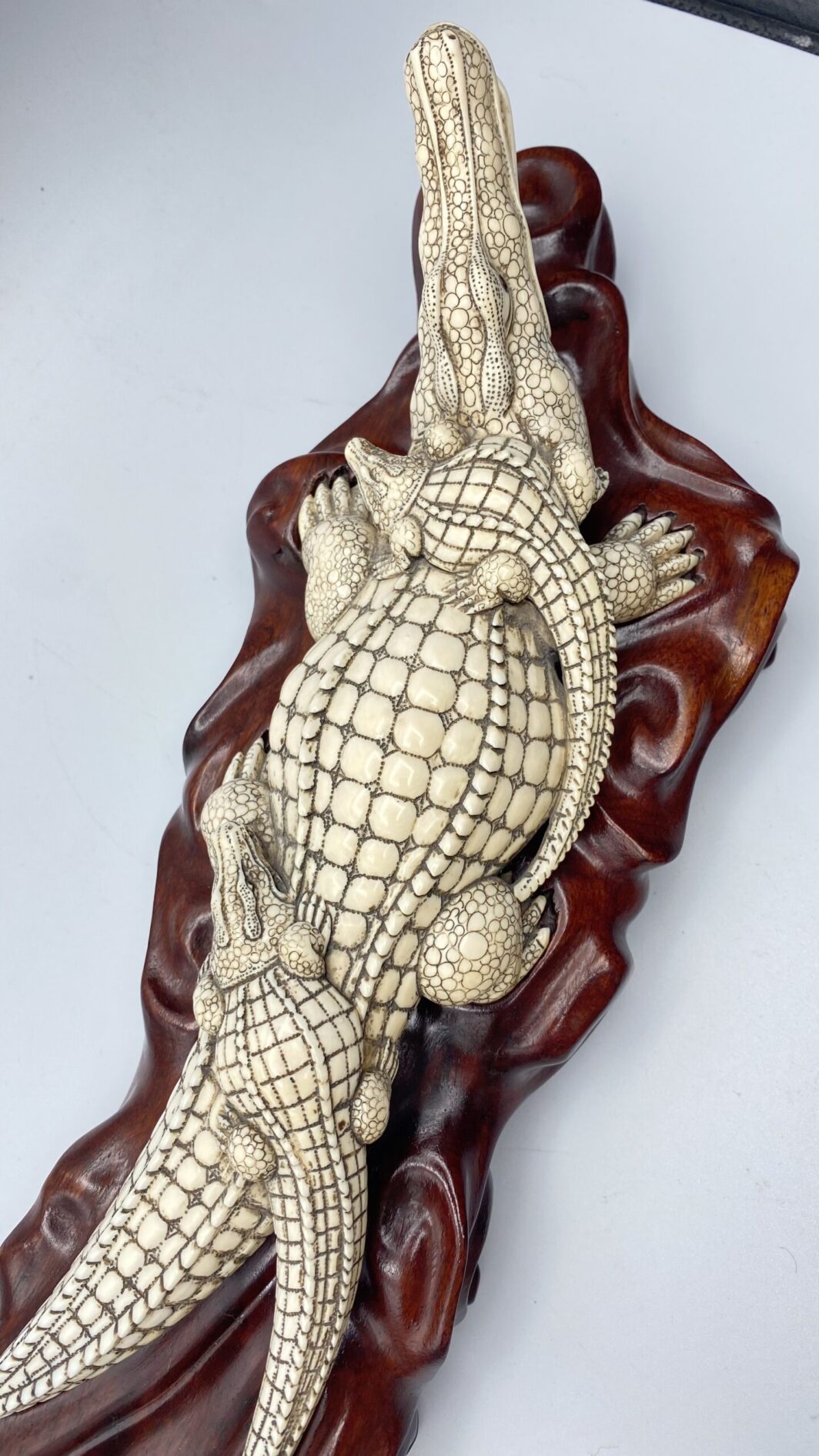 COCCODRILLO IN AVORIO, CON FIRMA DELLO SCULTORE SUL VENTRE. GIAPPONE, INIZI XX sec. - immagine 8