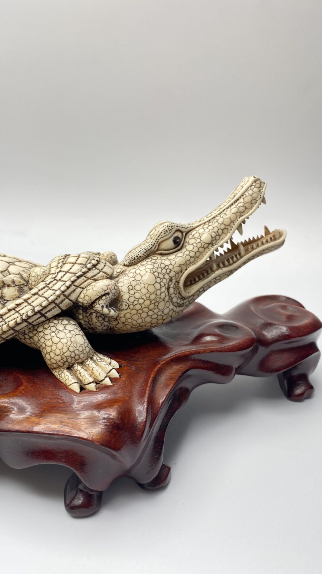COCCODRILLO IN AVORIO, CON FIRMA DELLO SCULTORE SUL VENTRE. GIAPPONE, INIZI XX sec. - immagine 7