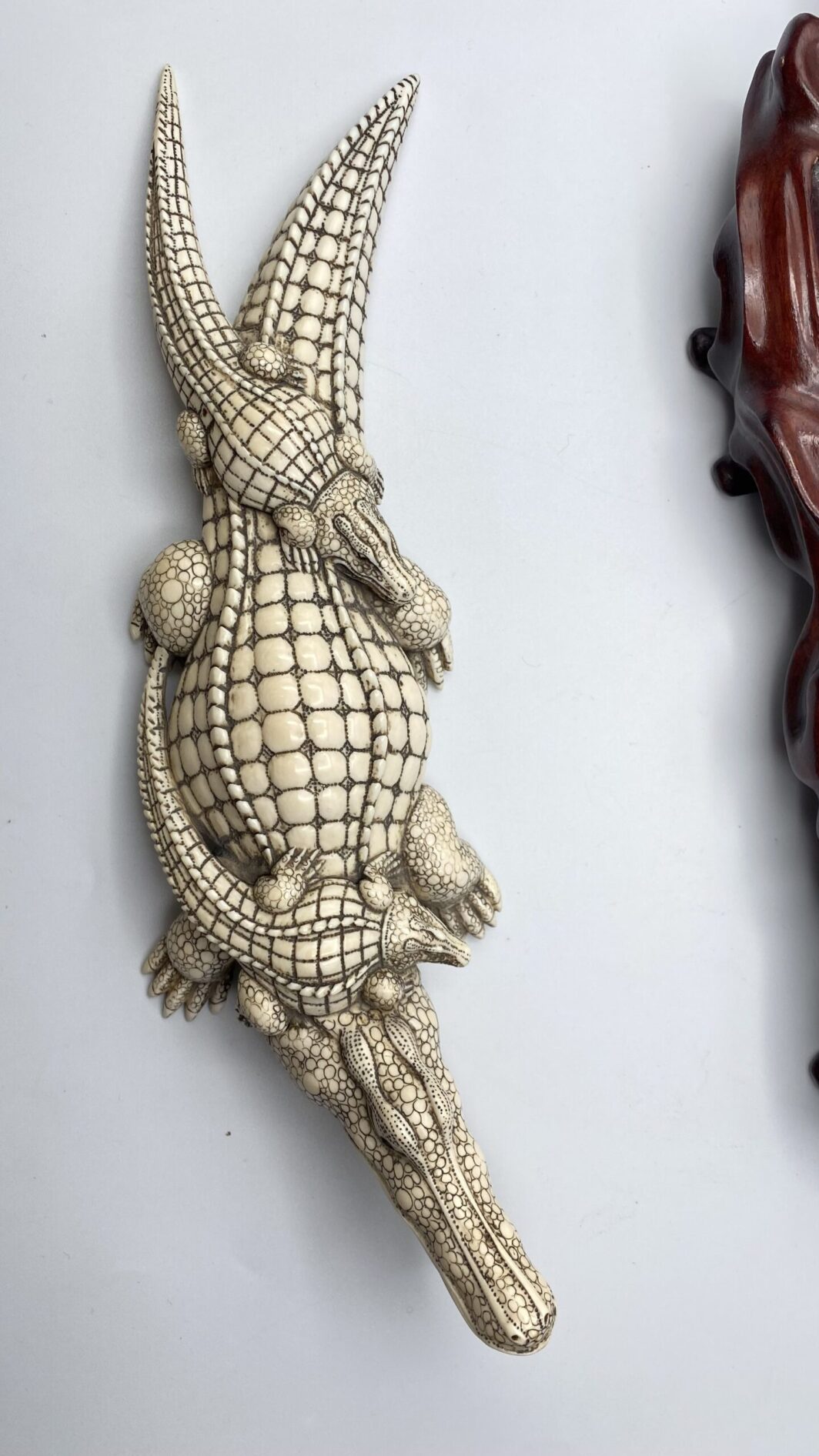 COCCODRILLO IN AVORIO, CON FIRMA DELLO SCULTORE SUL VENTRE. GIAPPONE, INIZI XX sec. - immagine 13