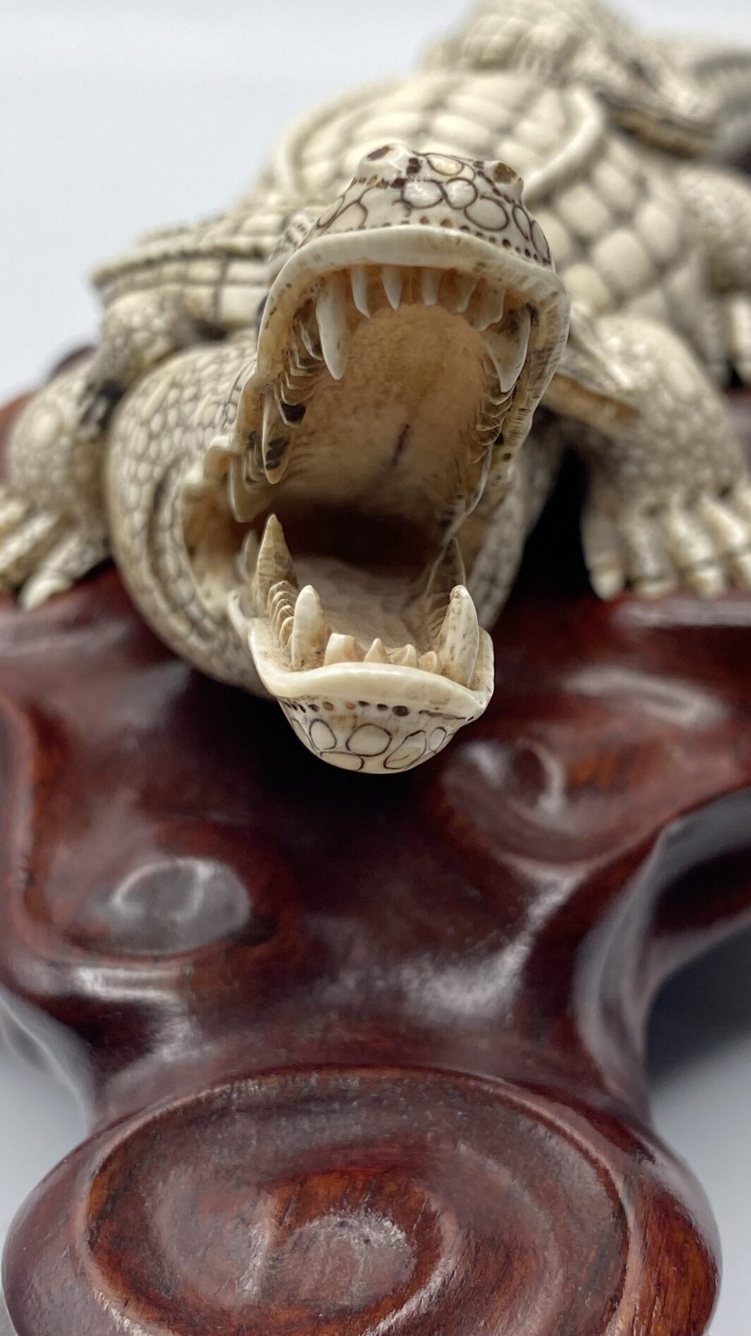 COCCODRILLO IN AVORIO, CON FIRMA DELLO SCULTORE SUL VENTRE. GIAPPONE, INIZI XX sec. - immagine 14
