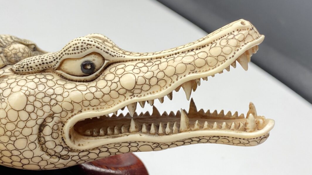 COCCODRILLO IN AVORIO, CON FIRMA DELLO SCULTORE SUL VENTRE. GIAPPONE, INIZI XX sec. - immagine 15