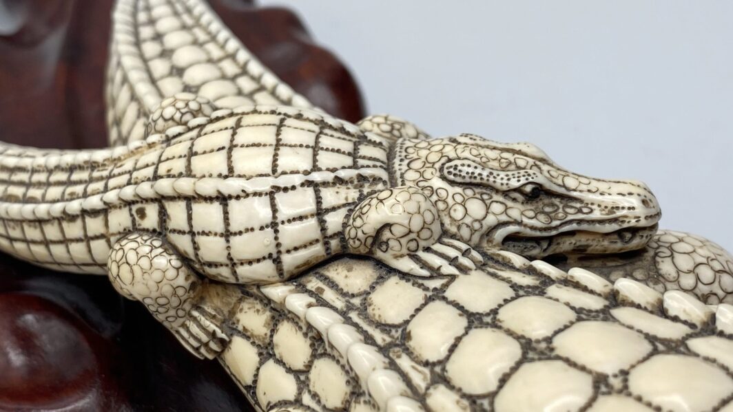 COCCODRILLO IN AVORIO, CON FIRMA DELLO SCULTORE SUL VENTRE. GIAPPONE, INIZI XX sec. - immagine 18