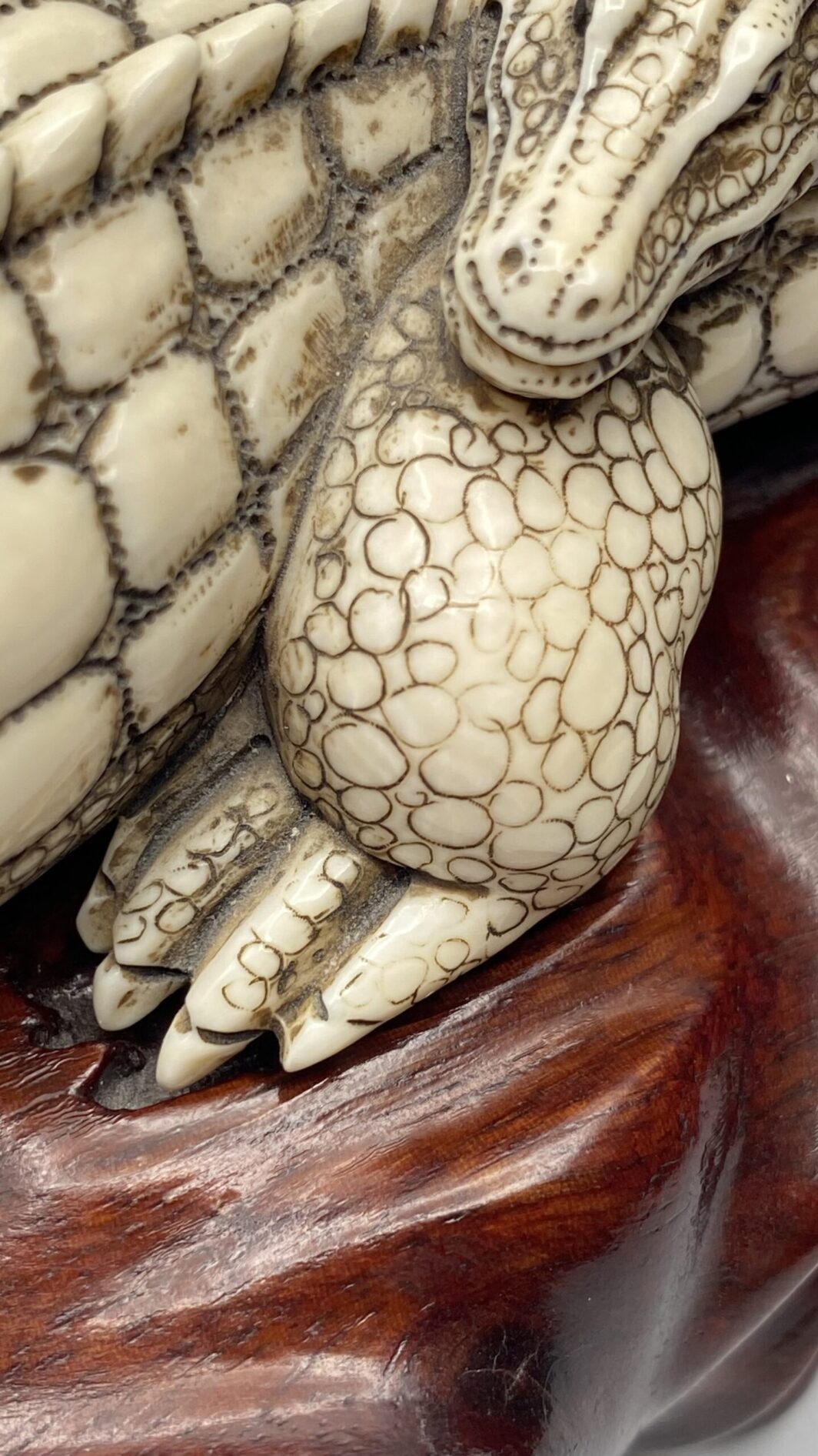 COCCODRILLO IN AVORIO, CON FIRMA DELLO SCULTORE SUL VENTRE. GIAPPONE, INIZI XX sec. - immagine 22