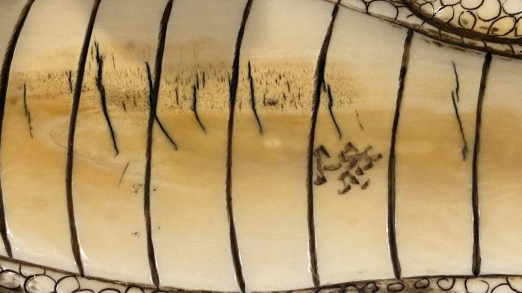 COCCODRILLO IN AVORIO, CON FIRMA DELLO SCULTORE SUL VENTRE. GIAPPONE, INIZI XX sec. - immagine 26