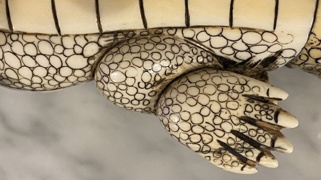 COCCODRILLO IN AVORIO, CON FIRMA DELLO SCULTORE SUL VENTRE. GIAPPONE, INIZI XX sec. - immagine 27