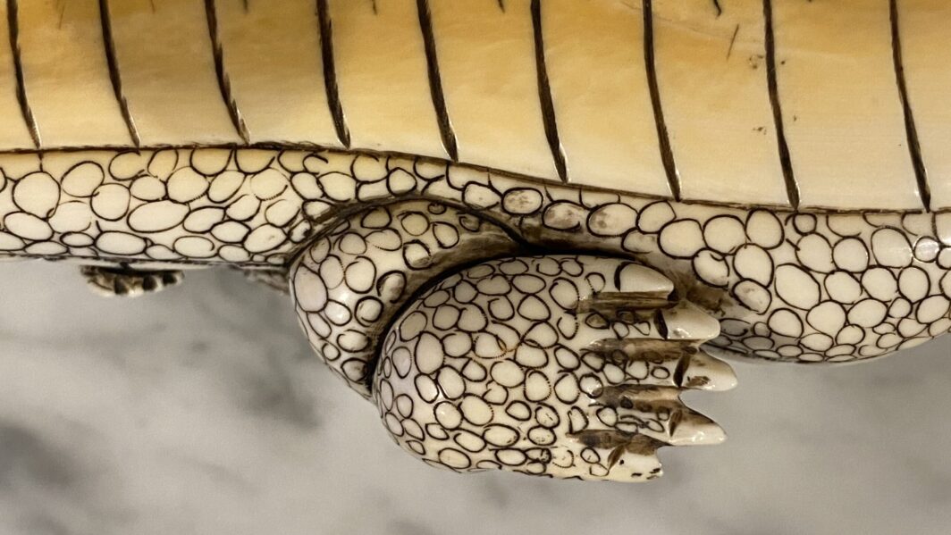 COCCODRILLO IN AVORIO, CON FIRMA DELLO SCULTORE SUL VENTRE. GIAPPONE, INIZI XX sec. - immagine 32