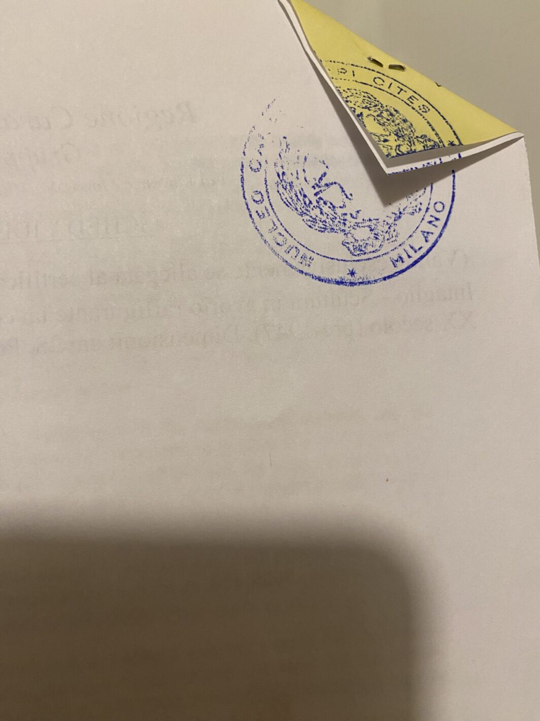COCCODRILLO IN AVORIO, CON FIRMA DELLO SCULTORE SUL VENTRE. GIAPPONE, INIZI XX sec. - immagine 34