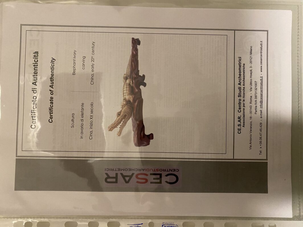 COCCODRILLO IN AVORIO, CON FIRMA DELLO SCULTORE SUL VENTRE. GIAPPONE, INIZI XX sec. - immagine 31