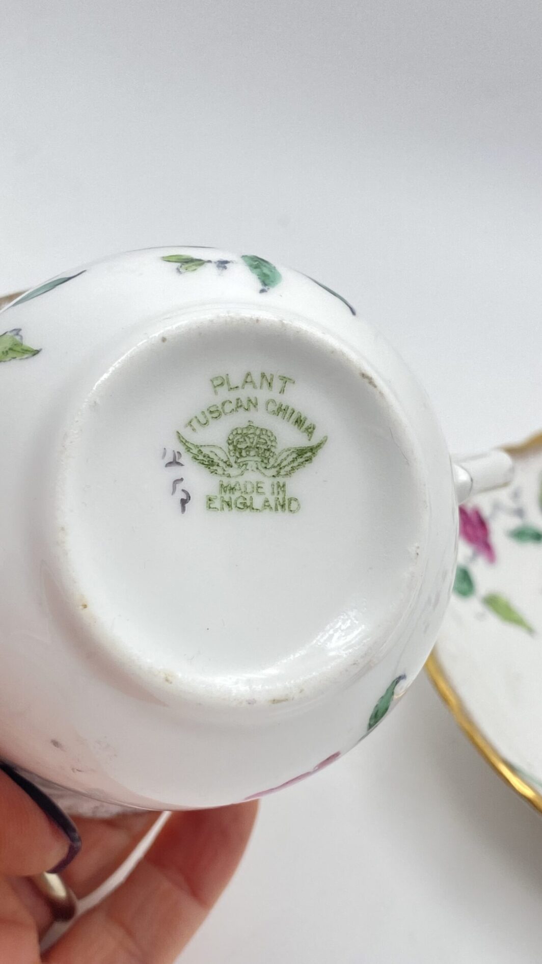 TAZZA DA TÈ CON PIATTINO, IN PORCELLANA FIRMATA “PLANT TUSCAN CHINA” SMALTATA. INGHILTERRA, EPOCA EDOARDIANA, INIZI XX sec. - immagine 7