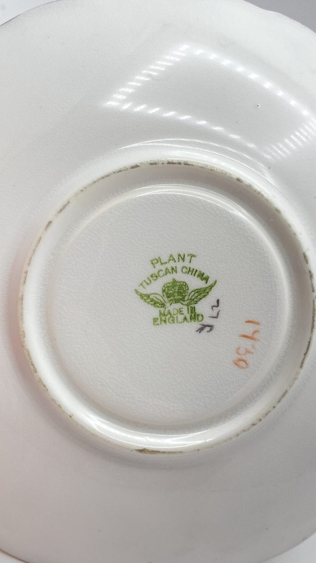 TAZZA DA TÈ CON PIATTINO, IN PORCELLANA FIRMATA “PLANT TUSCAN CHINA” SMALTATA. INGHILTERRA, EPOCA EDOARDIANA, INIZI XX sec. - immagine 6