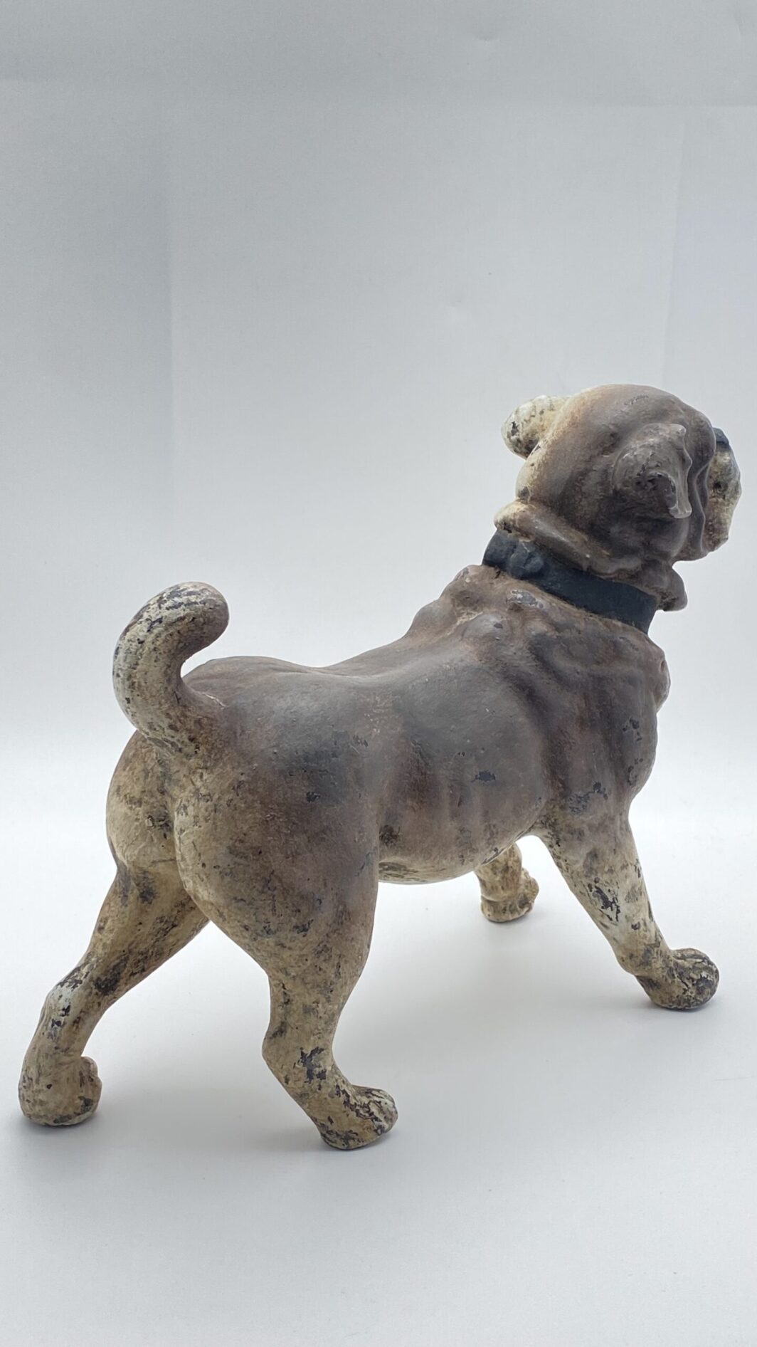 ANTICO E RARISSIMO CANE CARLINO IN TERRACOTTA. AUSTRIA, SECONDA METÀ DEL XIX sec. - immagine 5