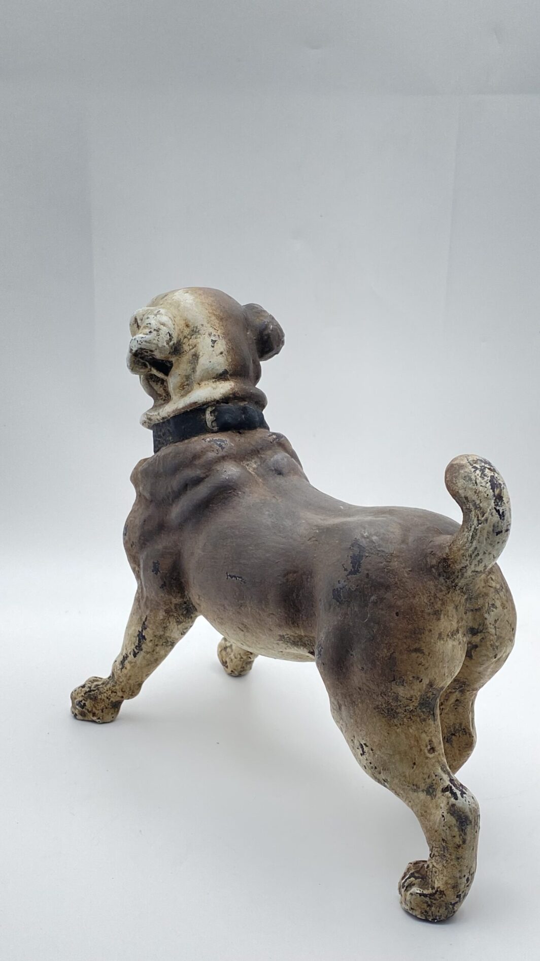 ANTICO E RARISSIMO CANE CARLINO IN TERRACOTTA. AUSTRIA, SECONDA METÀ DEL XIX sec. - immagine 6