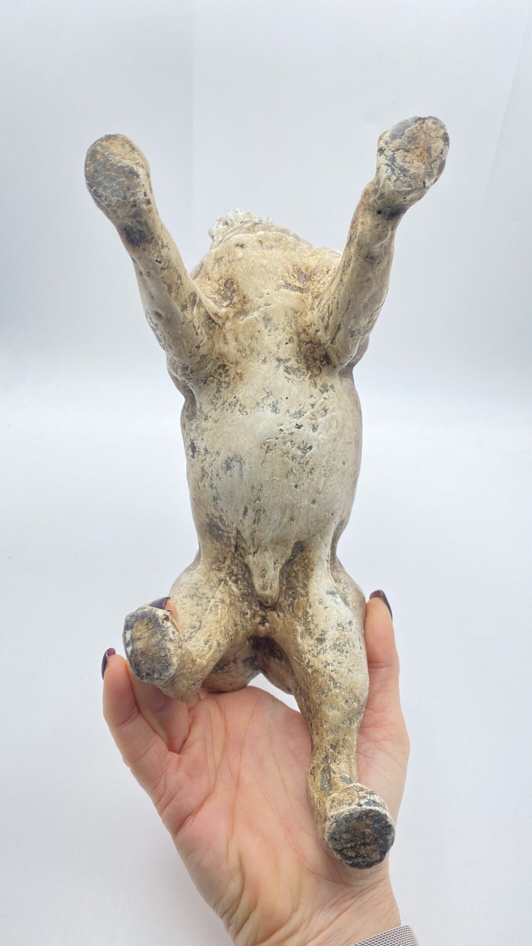 ANTICO E RARISSIMO CANE CARLINO IN TERRACOTTA. AUSTRIA, SECONDA METÀ DEL XIX sec. - immagine 9