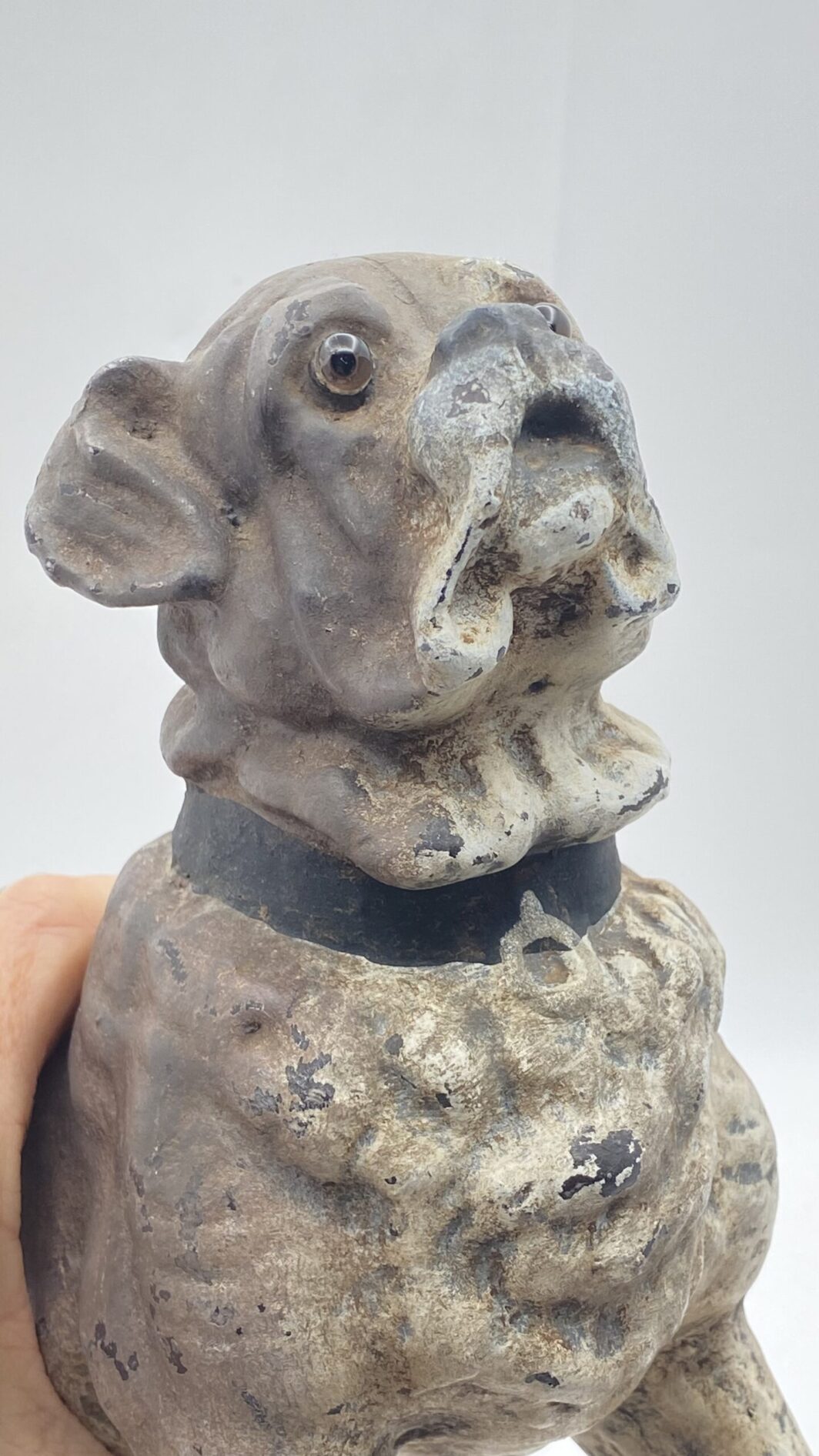 ANTICO E RARISSIMO CANE CARLINO IN TERRACOTTA. AUSTRIA, SECONDA METÀ DEL XIX sec. - immagine 11