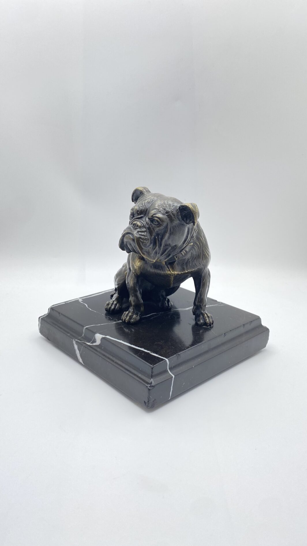 SCULTURA IN BRONZO BULLDOG XIX SECOLO – MANIFATTURA CELSA, BASE IN MARMO NERO - immagine 14