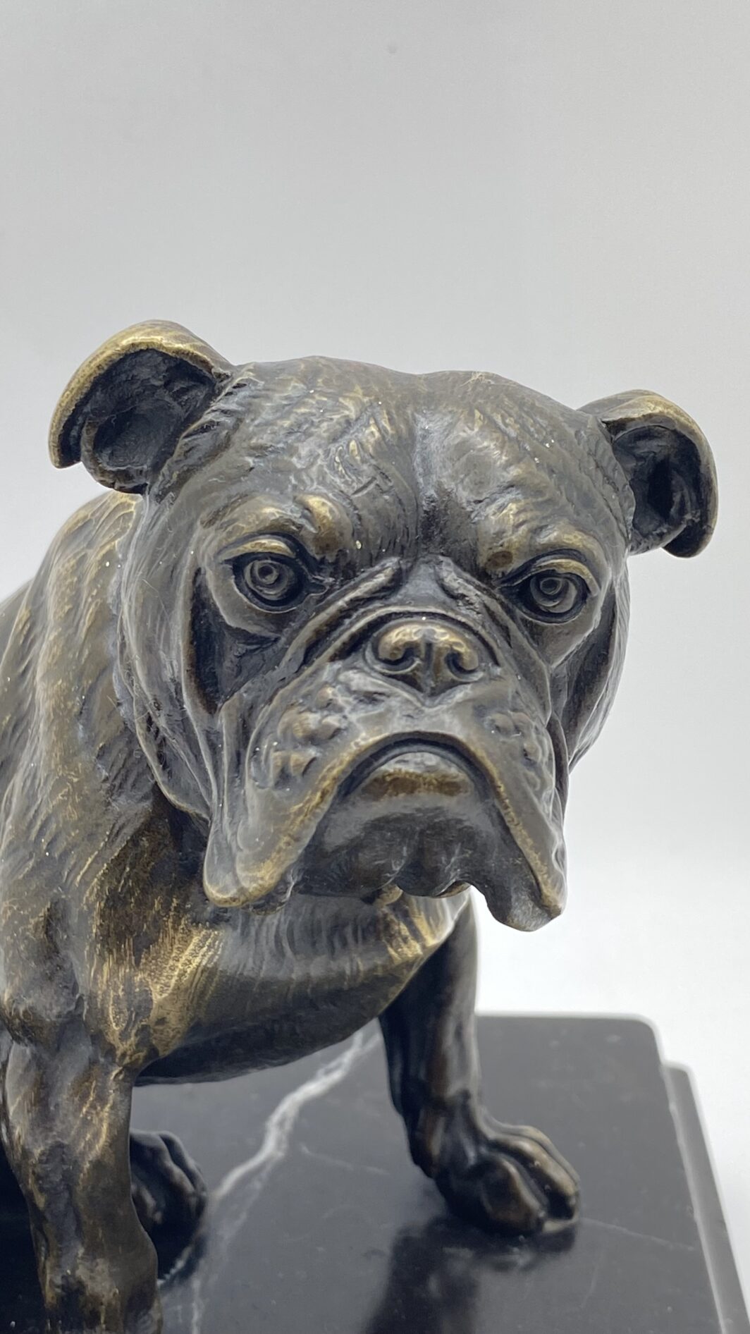 SCULTURA IN BRONZO BULLDOG XIX SECOLO – MANIFATTURA CELSA, BASE IN MARMO NERO - immagine 12