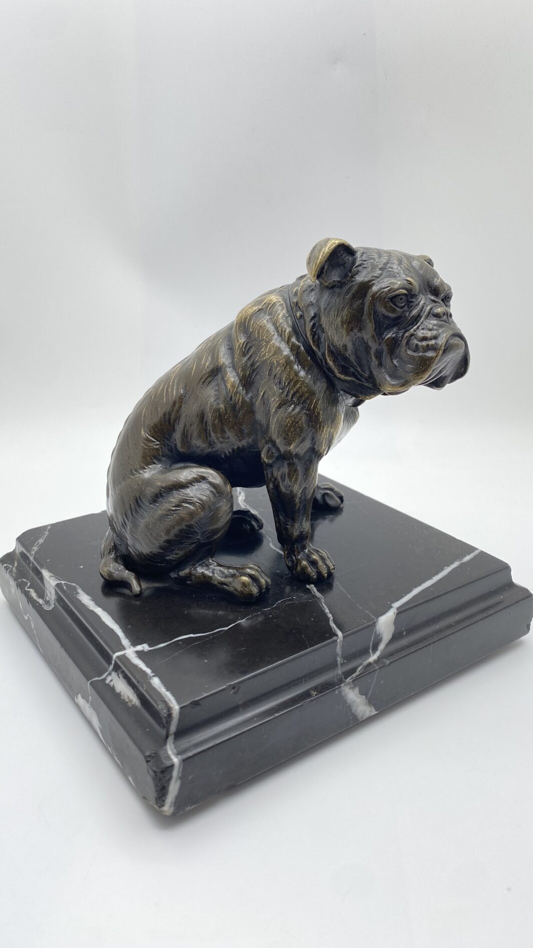 SCULTURA IN BRONZO BULLDOG XIX SECOLO – MANIFATTURA CELSA, BASE IN MARMO NERO