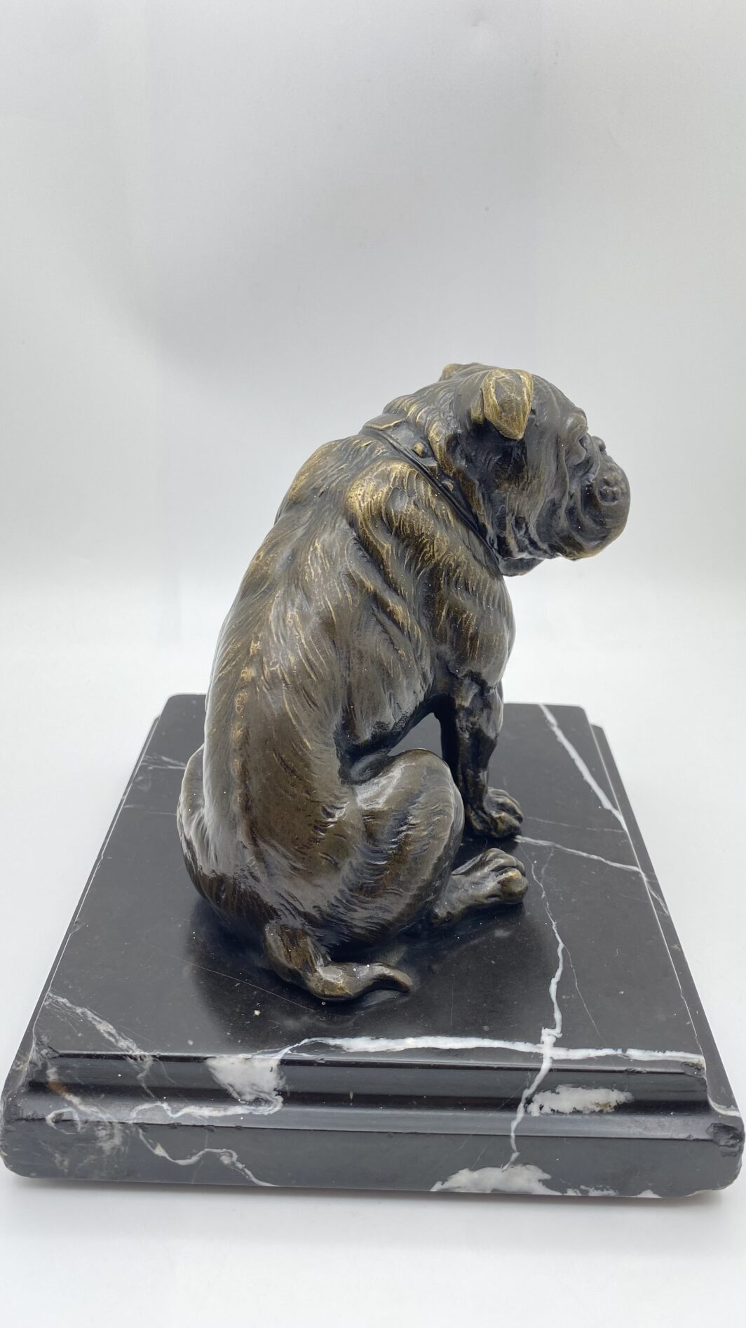 SCULTURA IN BRONZO BULLDOG XIX SECOLO – MANIFATTURA CELSA, BASE IN MARMO NERO - immagine 10