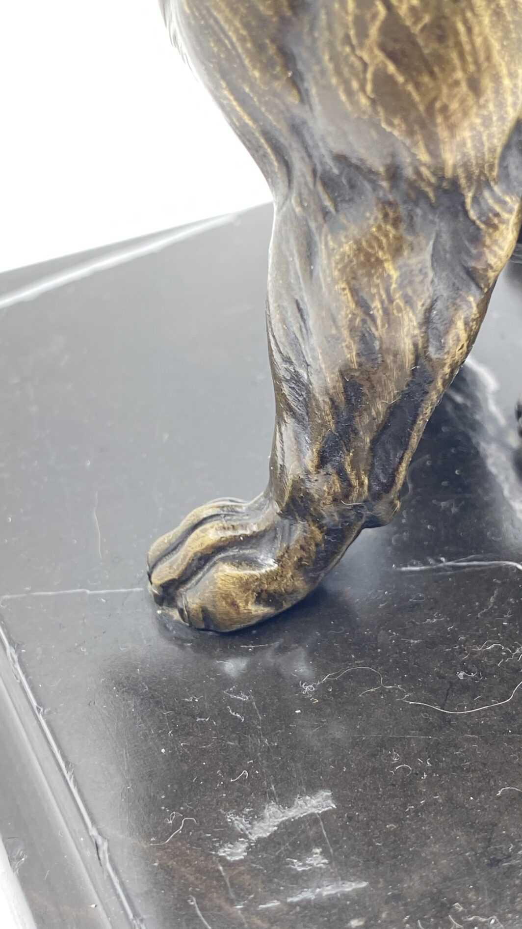 SCULTURA IN BRONZO BULLDOG XIX SECOLO – MANIFATTURA CELSA, BASE IN MARMO NERO - immagine 8