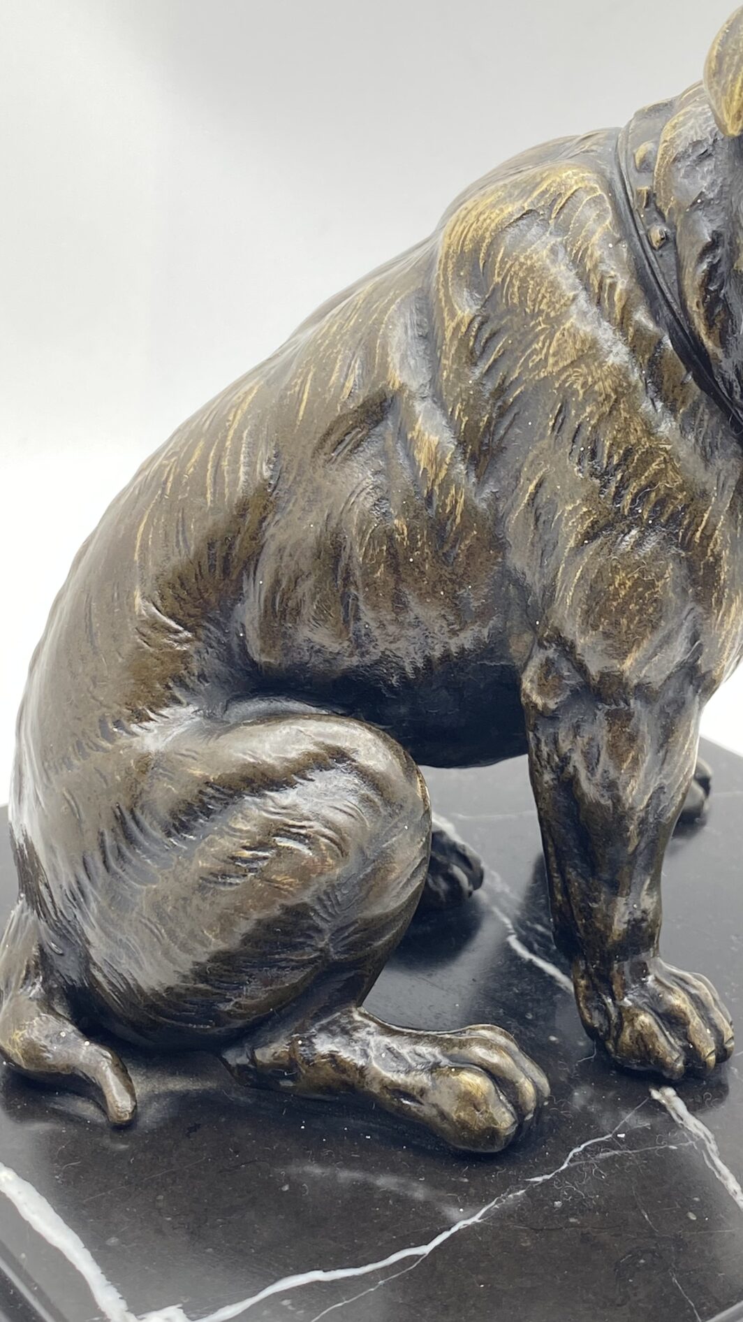 SCULTURA IN BRONZO BULLDOG XIX SECOLO – MANIFATTURA CELSA, BASE IN MARMO NERO - immagine 4