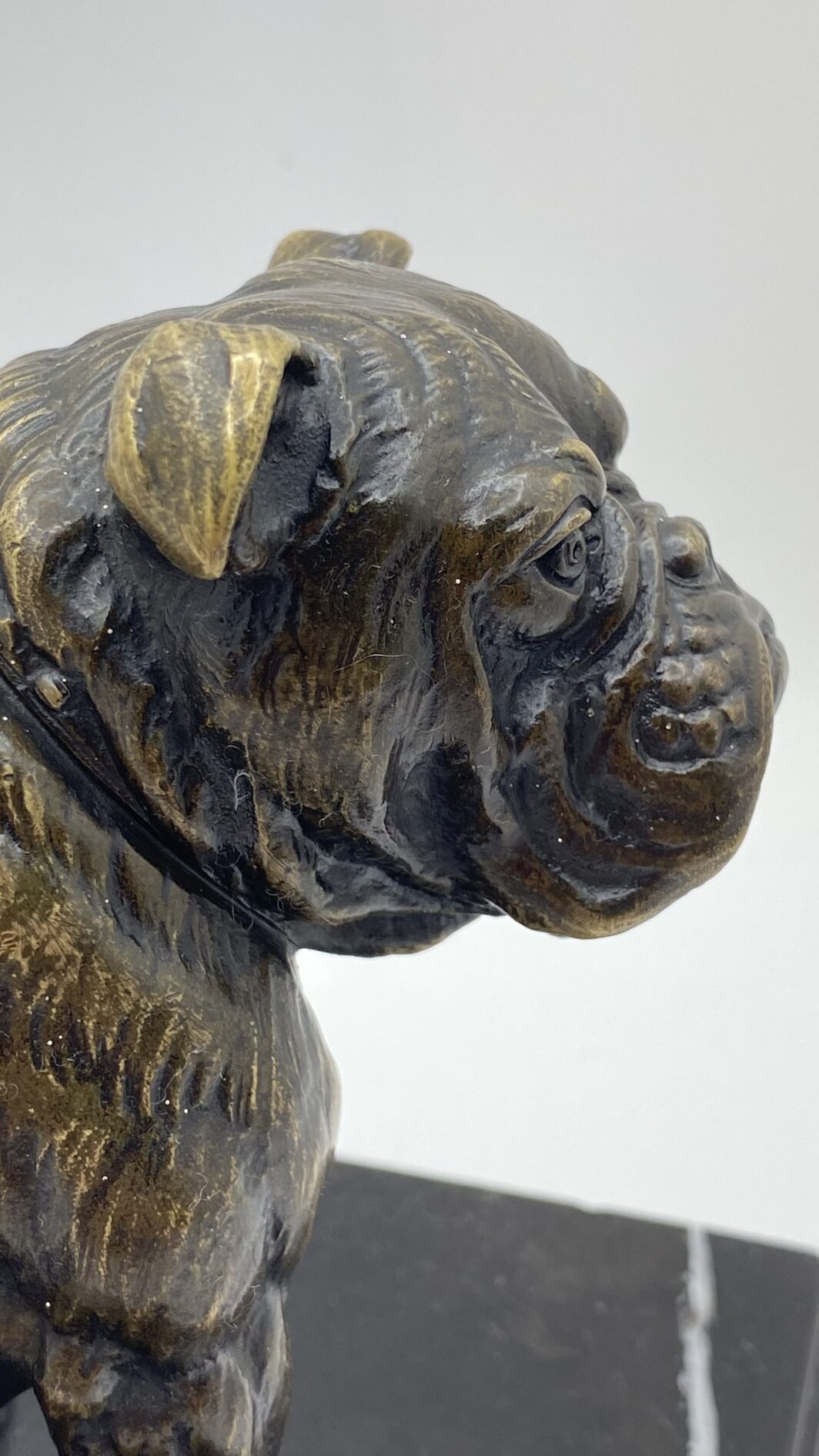 SCULTURA IN BRONZO BULLDOG XIX SECOLO – MANIFATTURA CELSA, BASE IN MARMO NERO - immagine 3